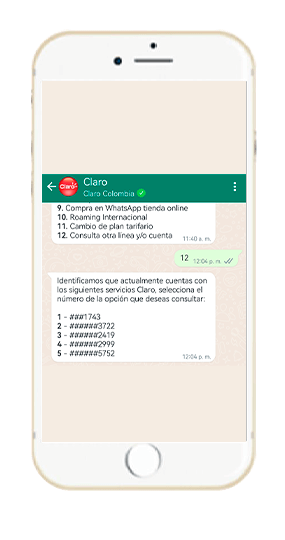 Paso 2 - Compra en WhatsApp Tienda Online 