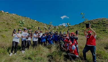 árboles sembrados soacha