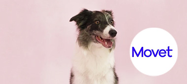 mascotas en Movet mascotas en Movet