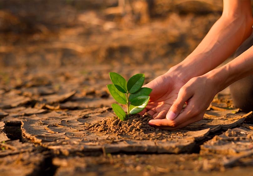 Cómo evitar el cambio climático