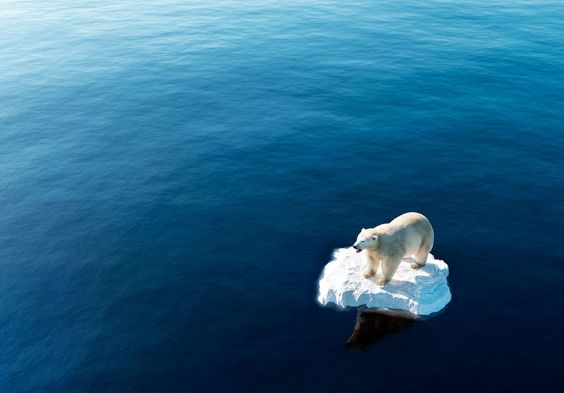 Día del Cambio Climático