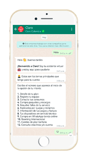 Paso 2 - Consulta tu Linea o cuenta Postpago Claro 