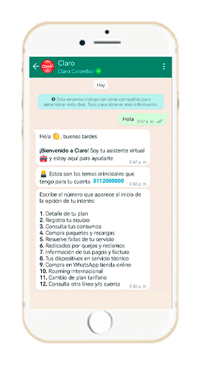 Paso 1 - Compra en whatsapp tienda online hogar 