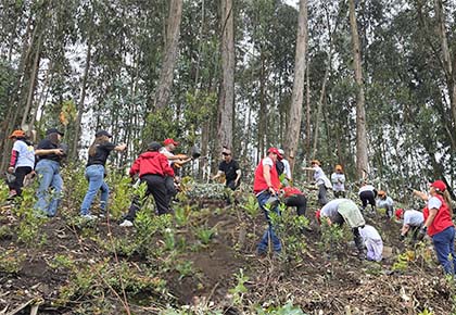Claro siembra árboles