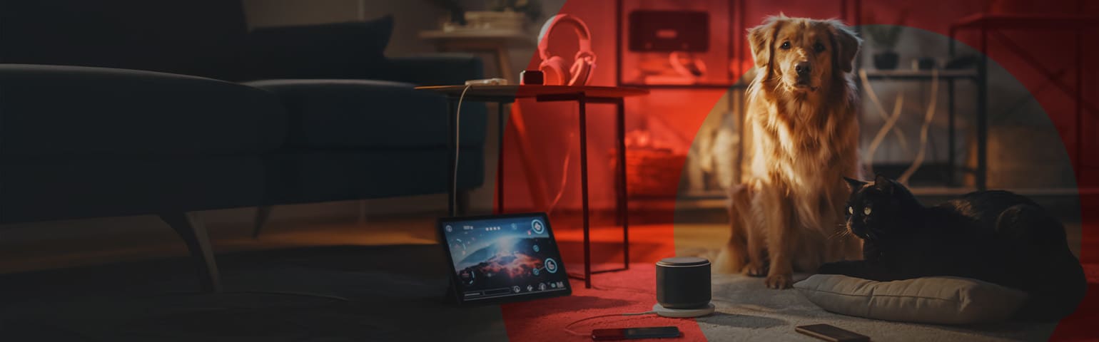 Mulstiasistencia Mascotas